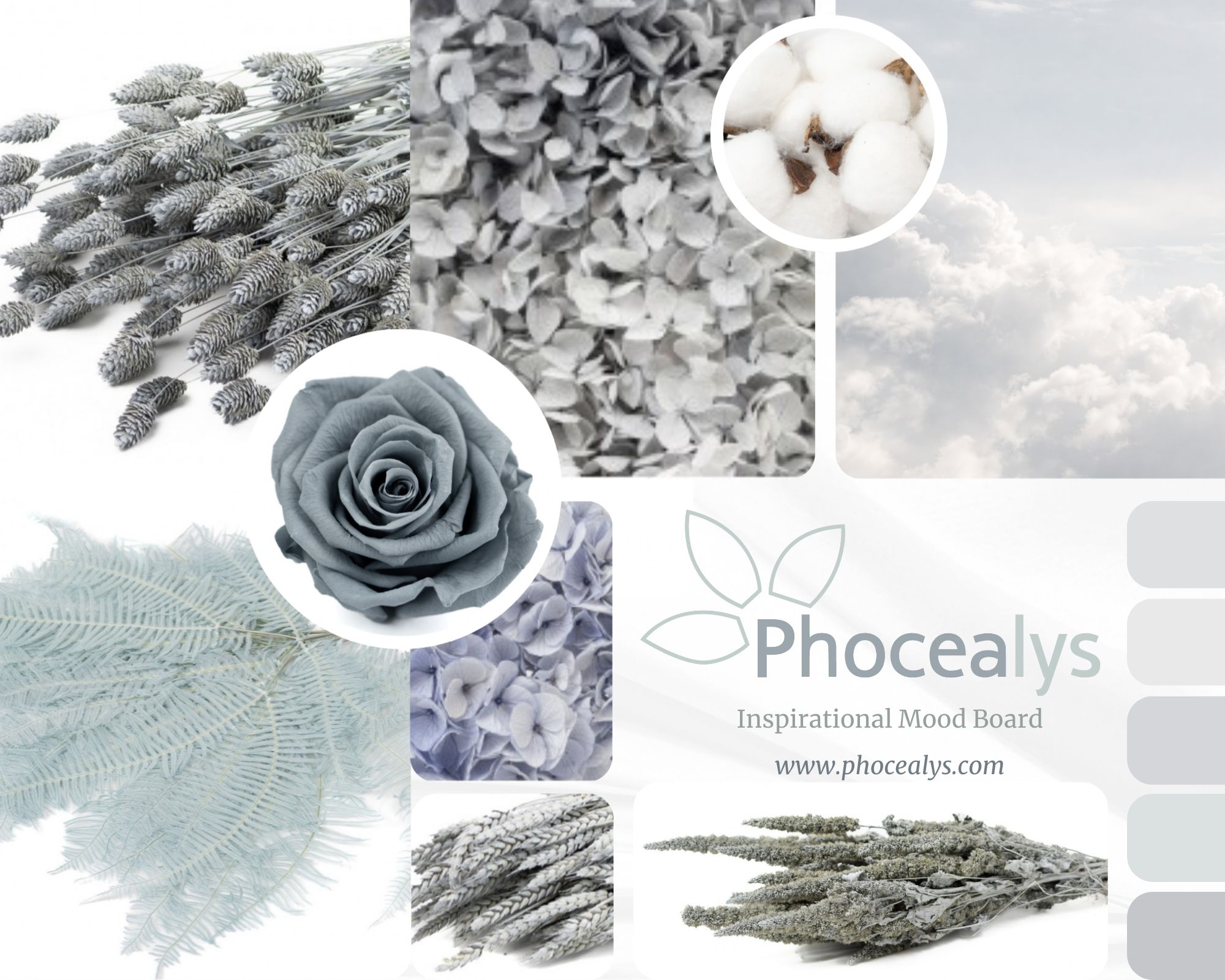 Inspiration cloud dancer Mood board